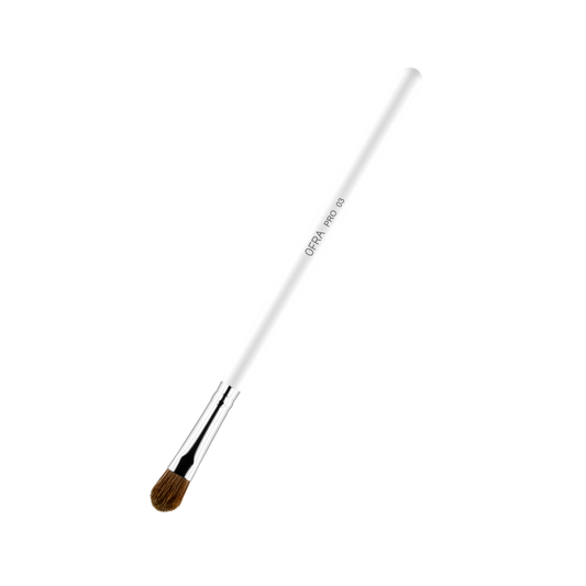Brush #3 - Eyeshadow